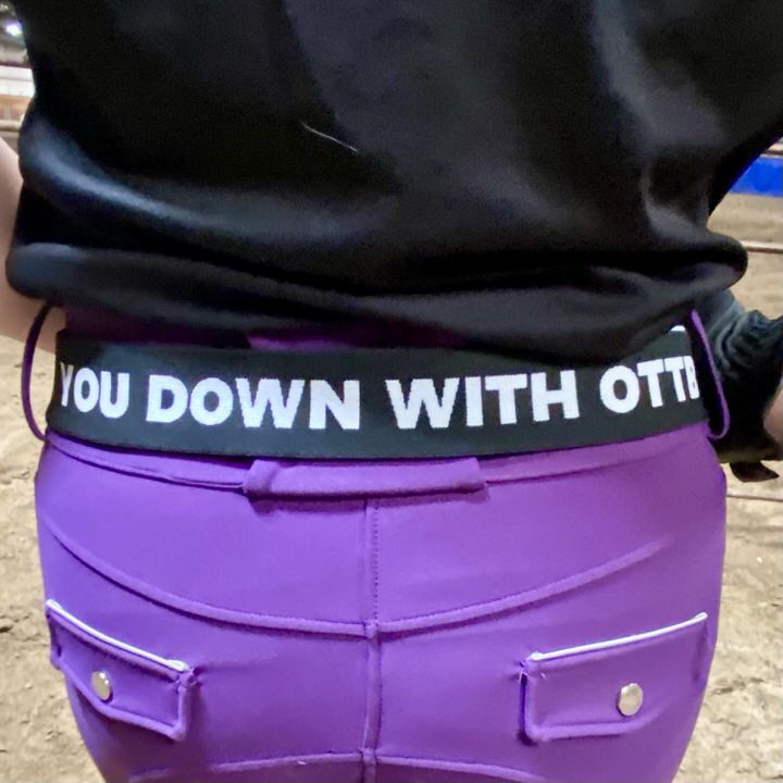 Trotty OTTB Riders Belt