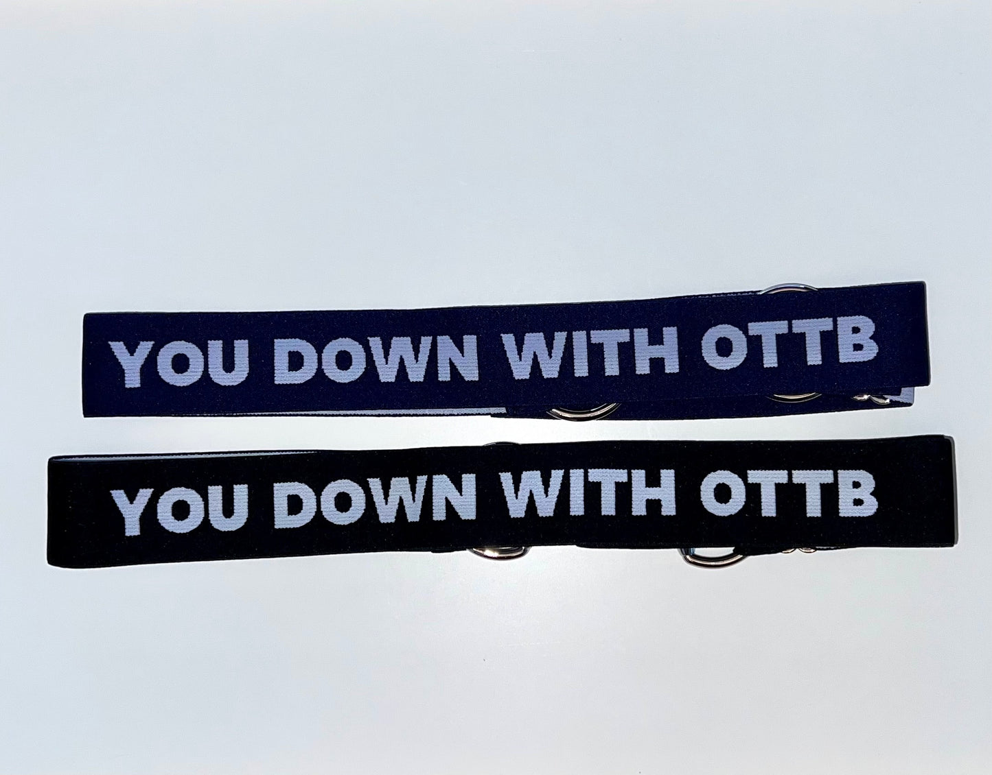 Trotty OTTB Riders Belt