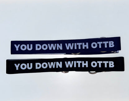 Trotty OTTB Riders Belt